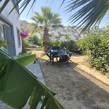 Apartament Ibak